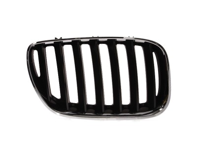Grila radiator Bmw X5 (E53), 05.2003-10.2006, dreapta, crom/negru, 51137113734, 205205-2 foto