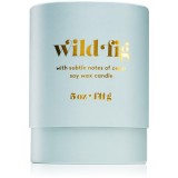 Paddywax Petite Wild Fig lum&acirc;nare parfumată 141 g