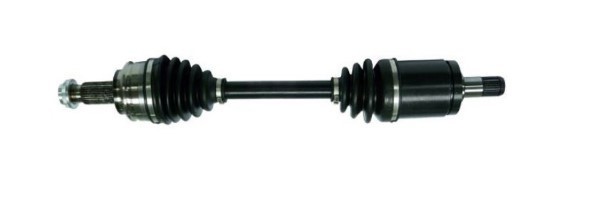 MTR 12192019 Planetara