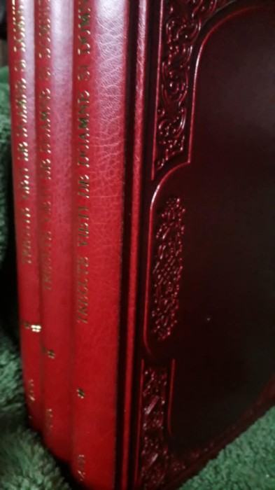 Trecute Vieti De Doamne Si Domnite -C.Gane1941- 3 VOL.Leg LUX ilustrat