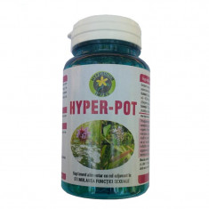 HYPER-POT 60cps HYPERICUM foto