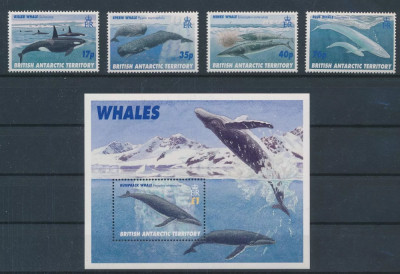 Britisch Antarctic Teritory-Balene-Serie si colita MNH foto