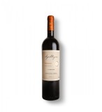 Apaltagua Envero Gran Reserva Carmenere - Vin Rosu Sec - Chile - 0.75L