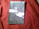Fotografie - fetita in carut de epoca cu stampila Avram Vichentie - Toracul Mic ( Banatul Sarbesc )