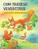 Cum traiesc veveritele. O poveste ilustrata si o mica enciclopedie despre animale/Friederun Reichenstetter
