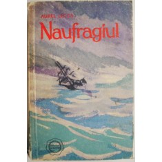 Naufragiul &ndash; Aurel Lecca