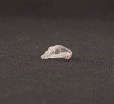 Fenacit nigerian cristal natural unicat f274