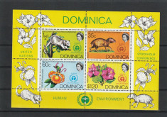 Fauna ,flora ,conferinta,Dominica. foto