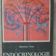 ENDOCRINOLOGIE-MARCELA PITIS