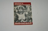 Pictura monumentala mexicana - I. N. Golomstoc - I. A. Karetnikova