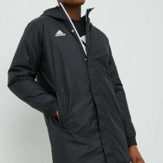 adidas Performance geacă bărbați, culoarea negru, de tranziție IB6076