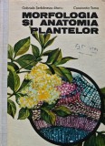 Morfologia si anatomia plantelor - 1980 - Gabriela Serbanescu Jitariu ($L268), Didactica si Pedagogica