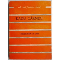 Sectiunea de dor &ndash; Radu Carneci
