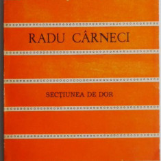 Sectiunea de dor – Radu Carneci