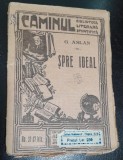 Spre ideal - G. Aslan