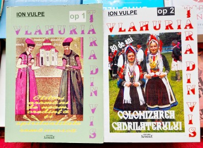 Vlahuria tara din vis - Ion Vulpe foto