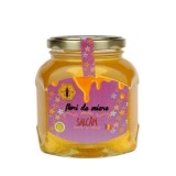 Miere de salcam, 450 g, Institutul Apicol