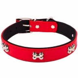 Zgarda Caine de Piele 35x1.5cm