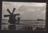 CPIB 21846 - CARTE POSTALA - DELTA DUNARII. MORI DE VANT LA LETEA, RPR, Circulata, Fotografie