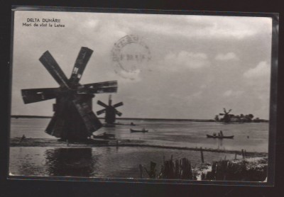 CPIB 21846 - CARTE POSTALA - DELTA DUNARII. MORI DE VANT LA LETEA, RPR foto