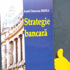 Strategie bancara Aurel Octavian Berea