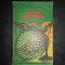 GRAHAM GREENE - MIEZUL LUCRURILOR