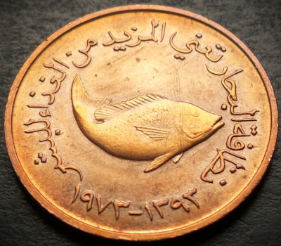 Moneda exotica 5 FILS FAO - EMIRATELE ARABE UNITE, anul 1973 * cod 4927 - luciu foto