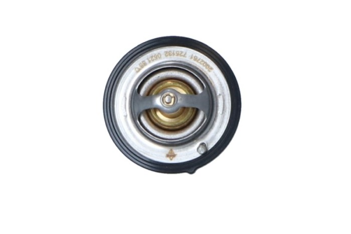 NRF 725132 EASY FIT termostat,lichid racire