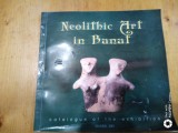 Neolithic art in Banat-catalogue of the exhibition-F.Drasovean,Dan Ciobotaru