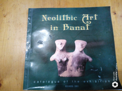 Neolithic art in Banat-catalogue of the exhibition-F.Drasovean,Dan Ciobotaru foto