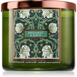 Bath &amp; Body Works Bergamot &amp; Birch lum&acirc;nare parfumată 411 g