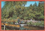 AS - C.P. BUZIAȘ, VEDERE DIN PARC, CIRCULATĂ (STAREA CARE SE VEDE)