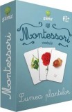 Montessori. Vocabular - Lumea plantelor - LIBHUMANITAS