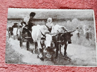 Carte postala, Car cu boi/Grigorescu foto
