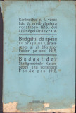 K1138 Budgetul de spese al orasului Caransebes .. pe anul 1915