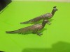 Pereche de FAZANI - statuete din metal argintat , suport pentru etichete , carduri , ornamentale
