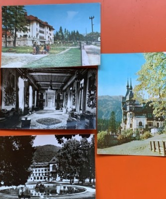 Carti postale Sinaia foto