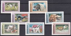DB1 Ungaria 1972 Caini de Rasa 7 v. NDT MNH