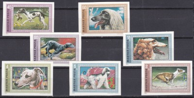 DB1 Ungaria 1972 Caini de Rasa 7 v. NDT MNH foto