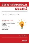 Esential pentru examenul de gramatica - Aura Elena Eftimie
