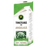 Tinctura Angelica 50 mililitri Hypericum, Hypericum Plant