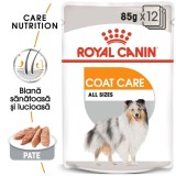 Royal Canin Coat Care Adult hrana umeda caine, blana sanatoasa si lucioasa