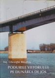Podurile Viitorului pe Dunarea de Jos - Gheorghe Buzuloiu, 2006, Media Drumuri Poduri, Constructii Poduri, Inginerie Civila