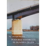 PODURILE VIITORULUI PE DUNAREA DE JOS-GHEORGHE BUZULOIU-247952