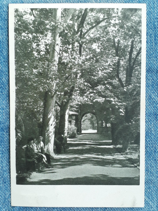 688 - Buzias -Vedere din parc / vedere circulata 1958 RPR