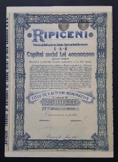 Actiune 1943 Ripiceni , titlu de 5 actiuni nominative