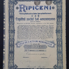 Actiune 1943 Ripiceni , titlu de 5 actiuni nominative