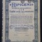 Actiune 1943 Ripiceni , titlu de 5 actiuni nominative