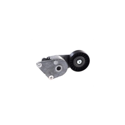 Intinzator curea PEUGEOT PARTNER Combispace 5F DAYCO APV1001 foto