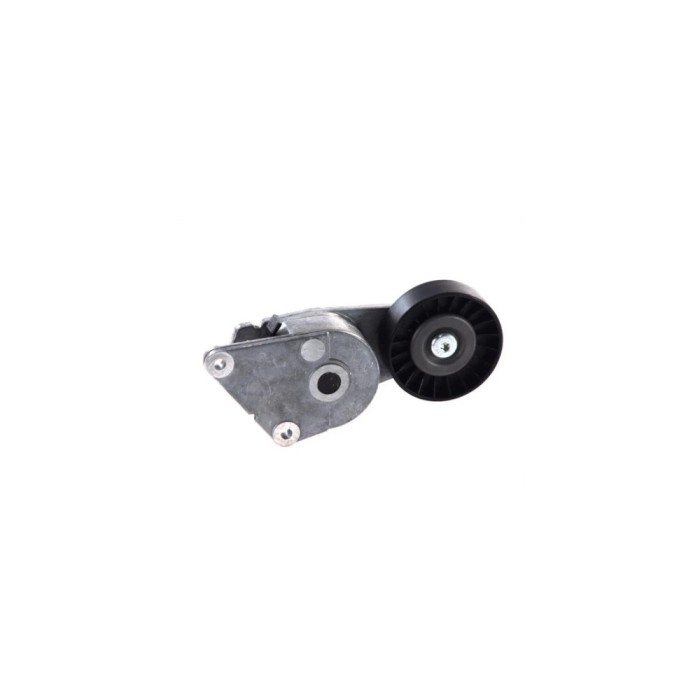 Intinzator curea PEUGEOT PARTNER Combispace 5F DAYCO APV1001